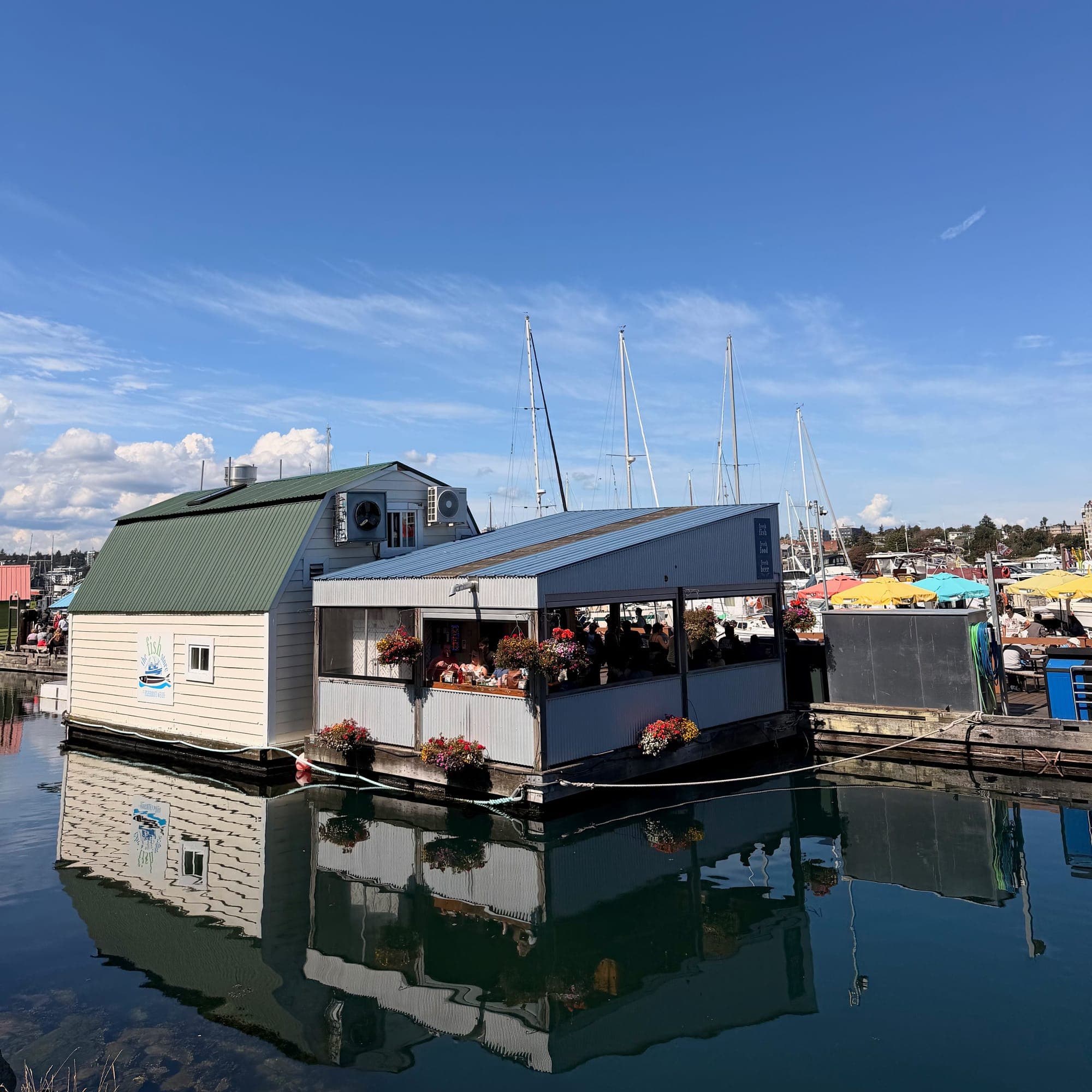 A floating home with flower boxes reflected in still water under a blue sky