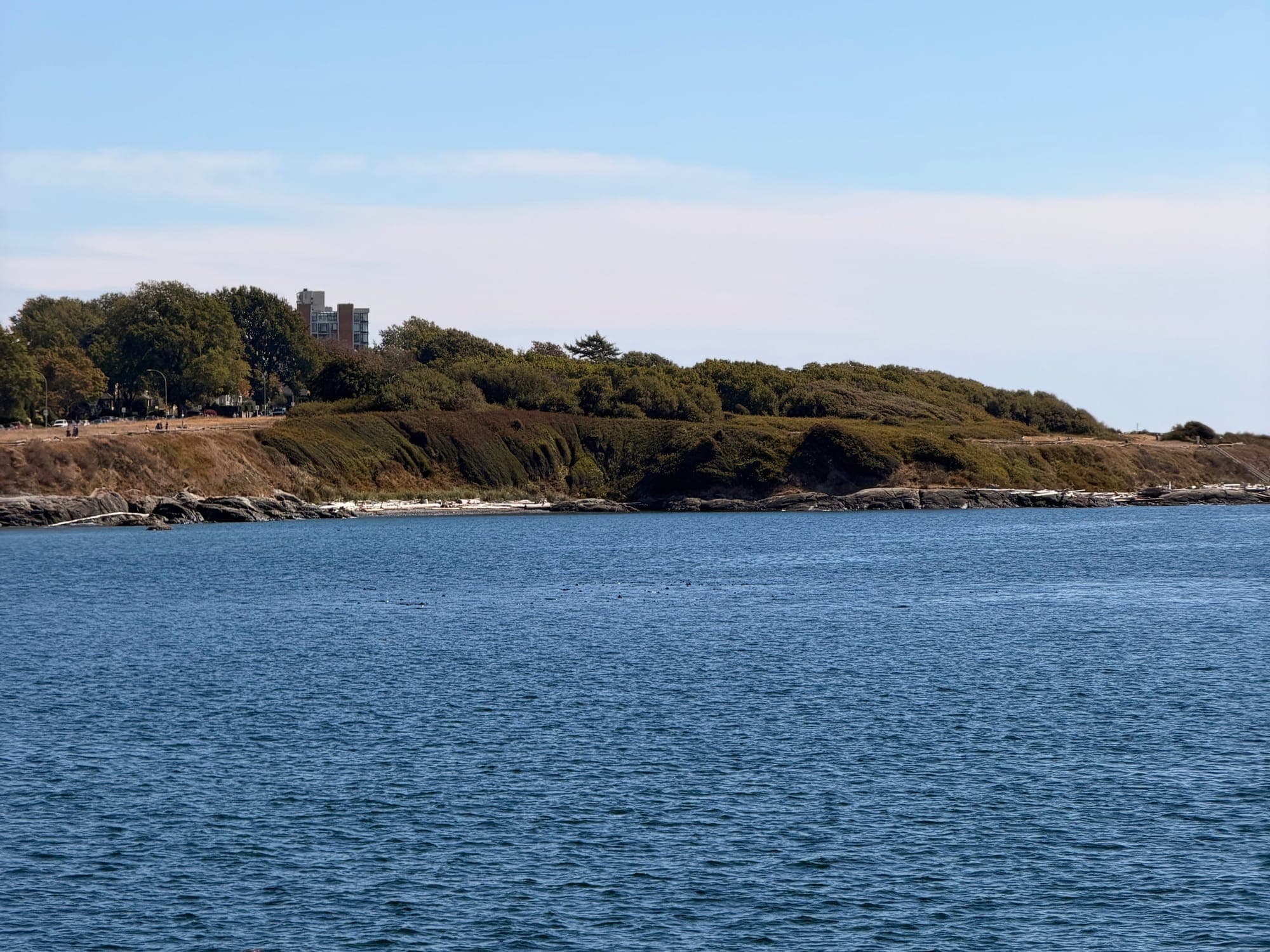 A wooded headland across calm blue water