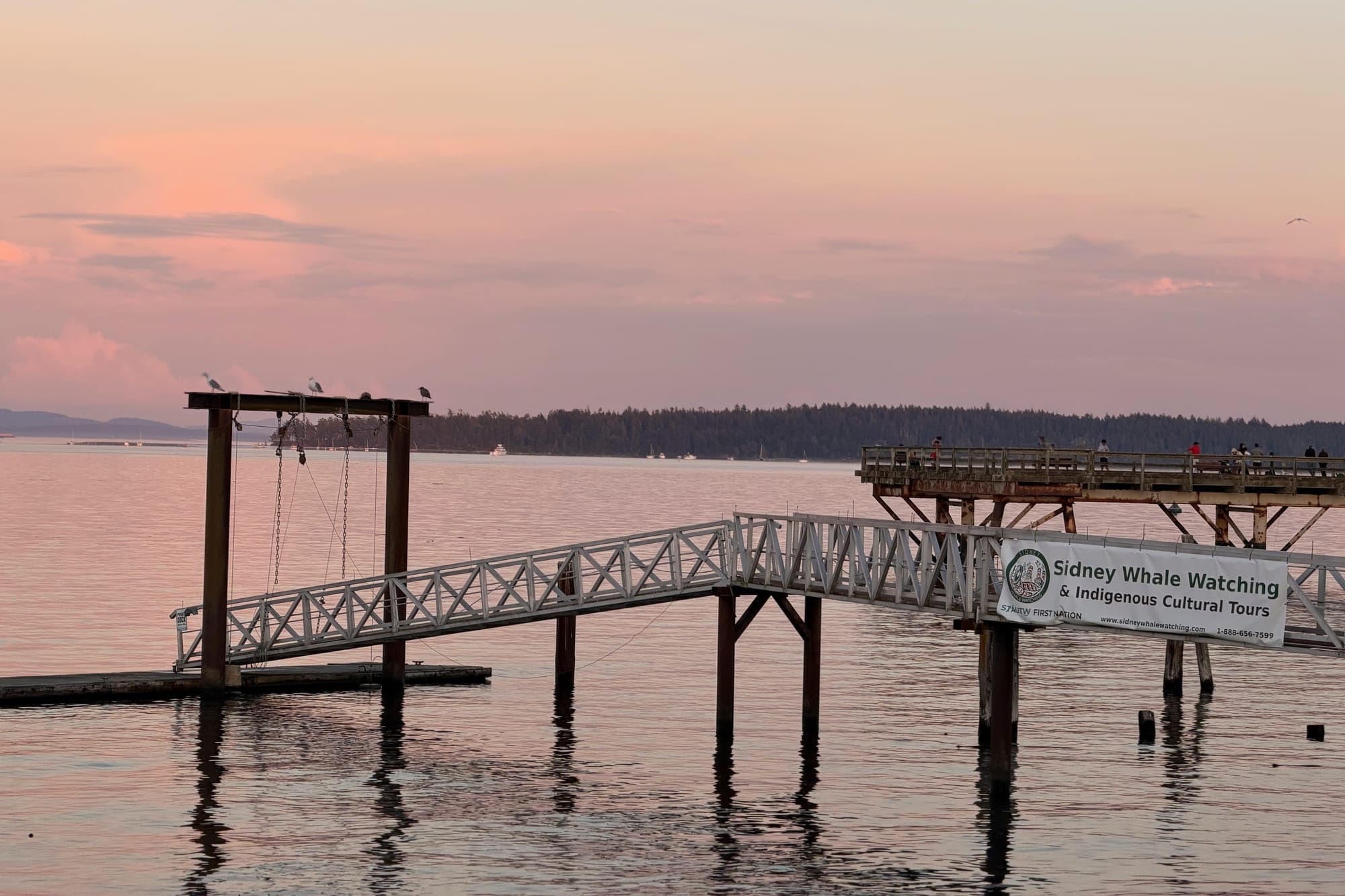 A pier ramp and pilings reflected in pink evening water