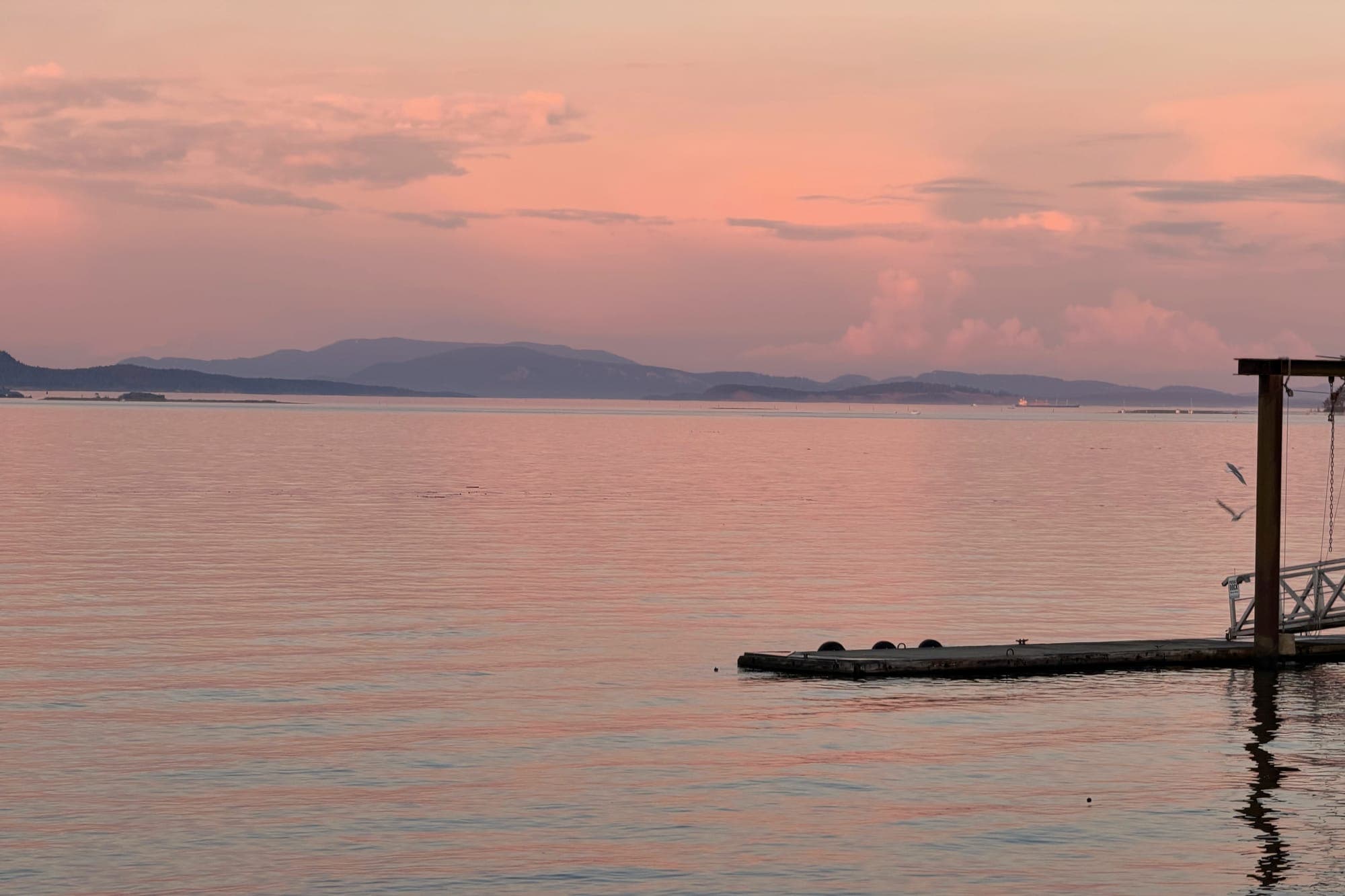 Pink sky over a still strait, mountains on the horizon, a floating log in the foreground
