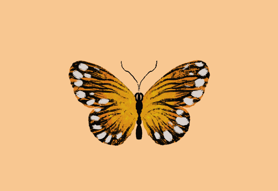 An animated butterfly in motion